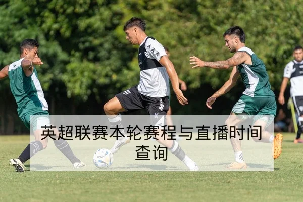 中超本轮伤病名单与替补出场概率